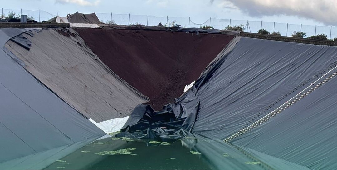 Therese da&ntilde;a la balsa de Era de Mota (Valsequillo)