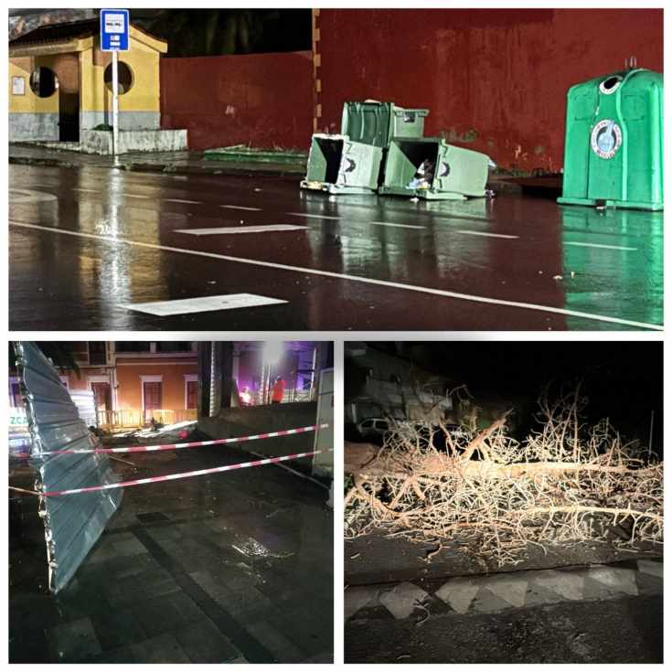 Última Hora: Árboles caídos y cortes de luz tras la noche de temporal en Valsequillo