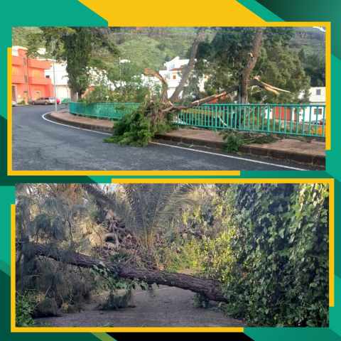Therese deja este sábado muros caídos y cortes de luz en Valsequillo
