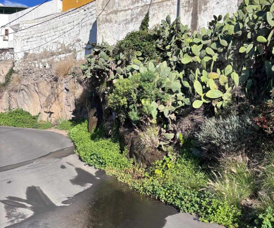 Vertdo de aguas fecales en la calle Rociana/Valsequillo Plural.