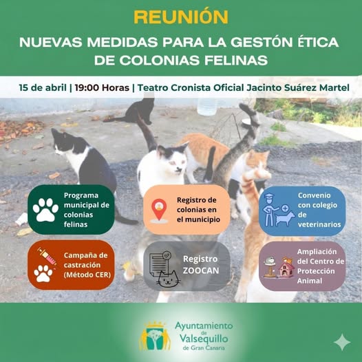Reunión abierta sobre gestión ética de gatos en Valsequillo