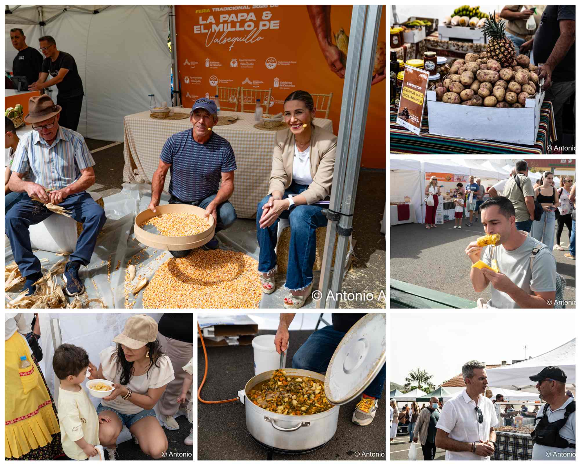 Valsequillo llena la Feria de la Papa y el Millo
