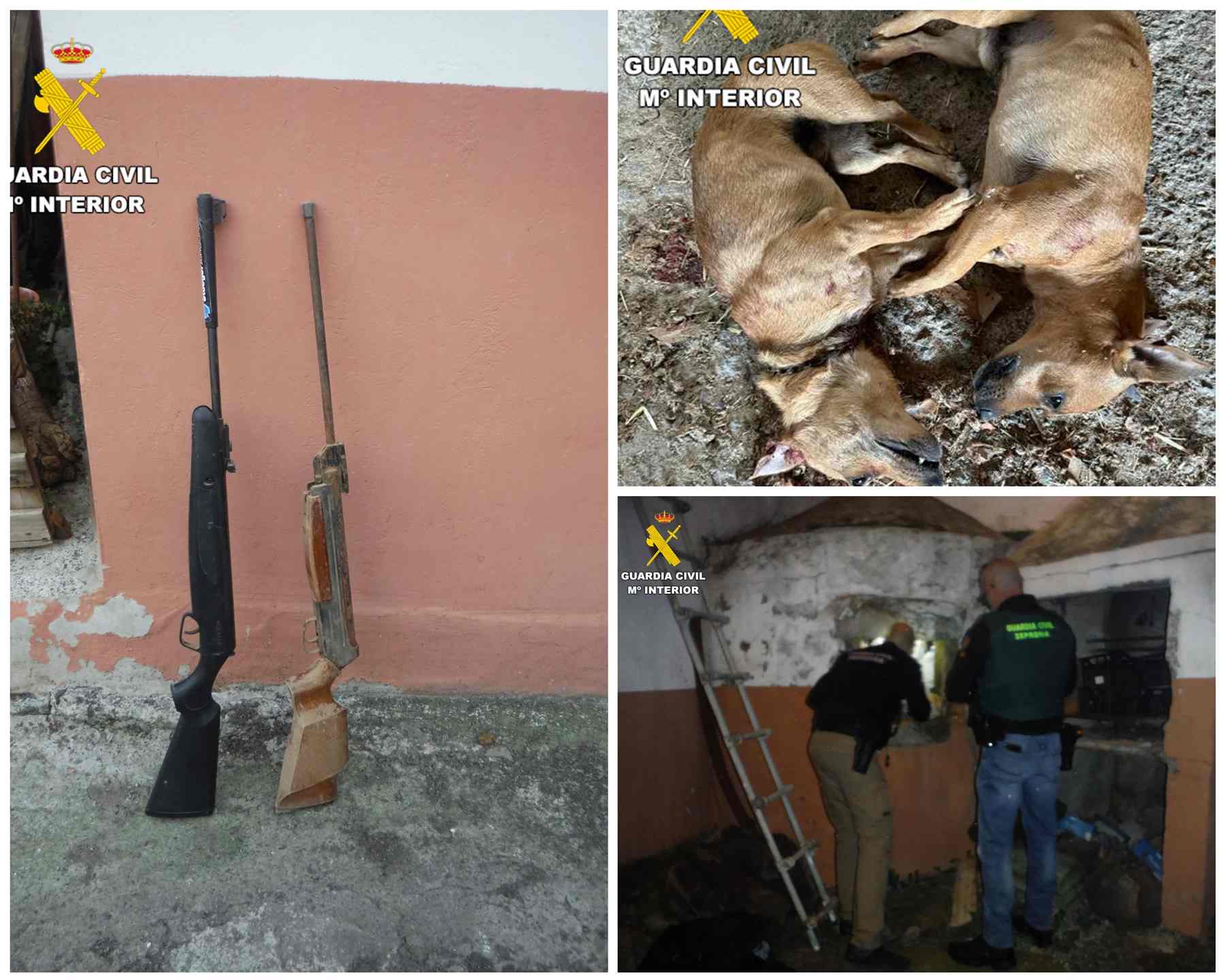 Detenido en Valsequillo por matar presuntamente a tiros a dos perros y amenazar a su propietario