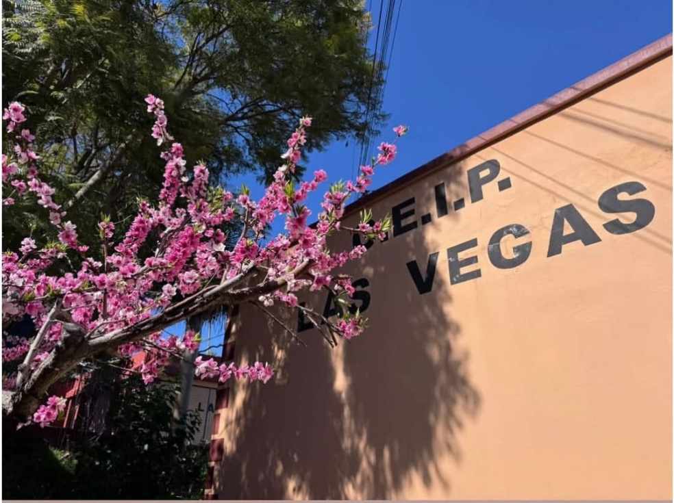 Educación autoriza el desdoble del aula mixta de Infantil del CEIP Las Vegas